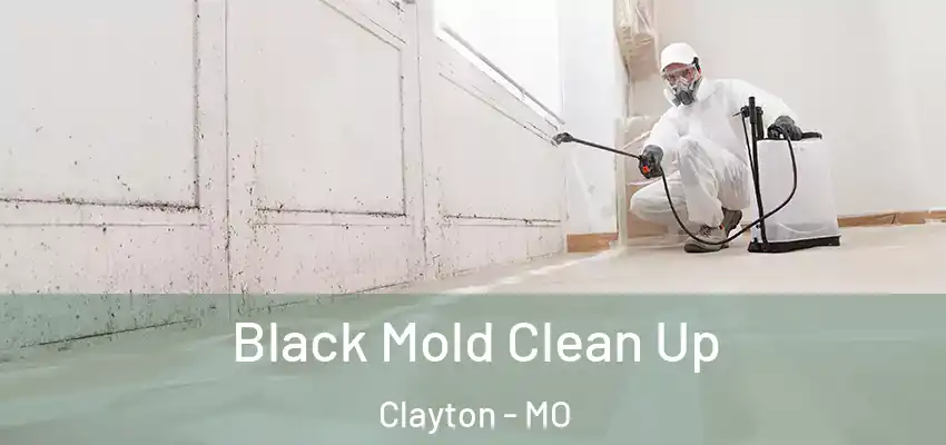  Black Mold Clean Up Clayton - MO