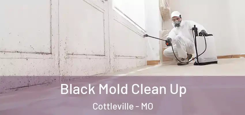  Black Mold Clean Up Cottleville - MO