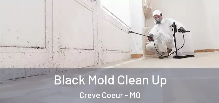  Black Mold Clean Up Creve Coeur - MO