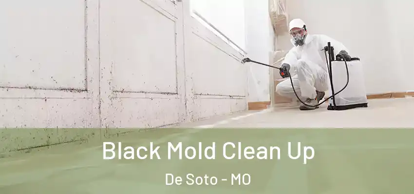  Black Mold Clean Up De Soto - MO