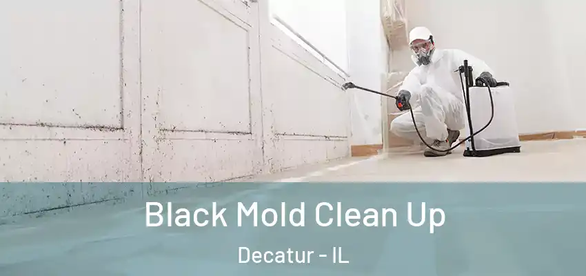  Black Mold Clean Up Decatur - IL