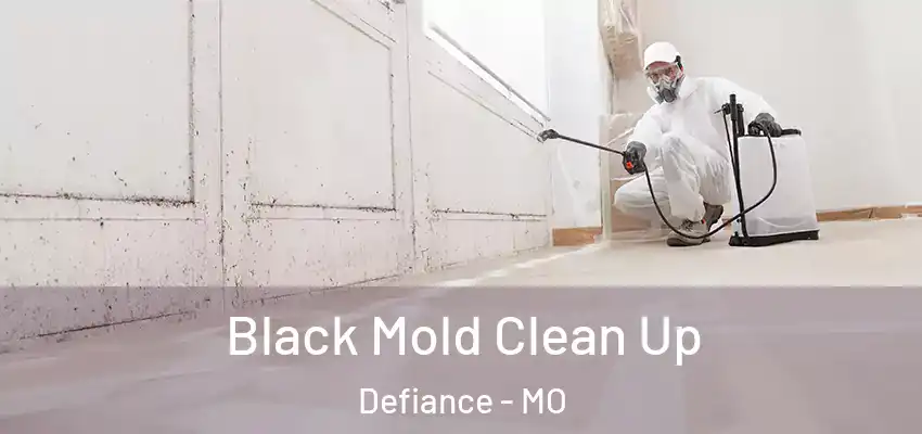  Black Mold Clean Up Defiance - MO