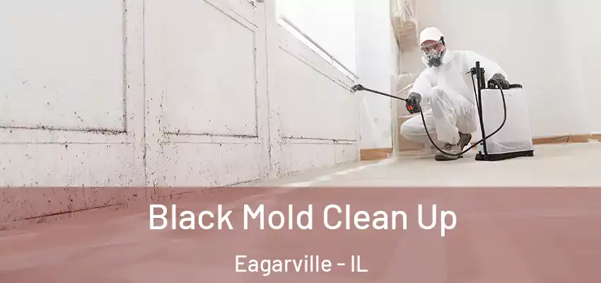  Black Mold Clean Up Eagarville - IL