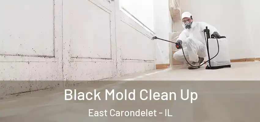  Black Mold Clean Up East Carondelet - IL