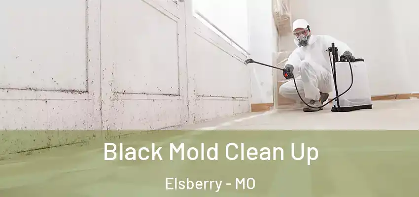  Black Mold Clean Up Elsberry - MO