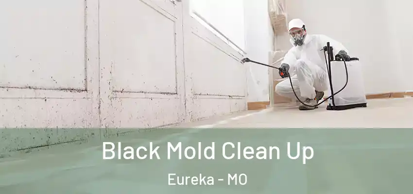  Black Mold Clean Up Eureka - MO