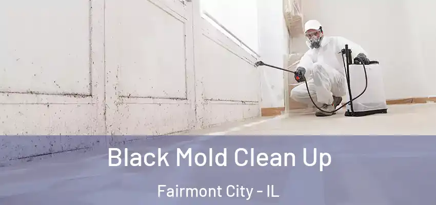 Black Mold Clean Up Fairmont City - IL