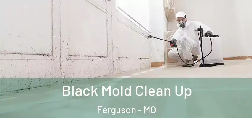  Black Mold Clean Up Ferguson - MO