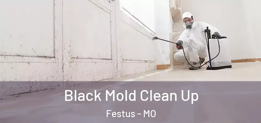  Black Mold Clean Up Festus - MO