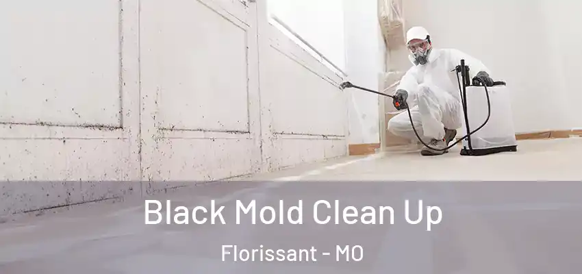  Black Mold Clean Up Florissant - MO