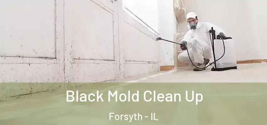  Black Mold Clean Up Forsyth - IL