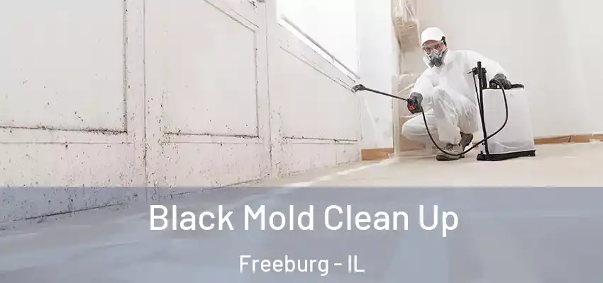  Black Mold Clean Up Freeburg - IL