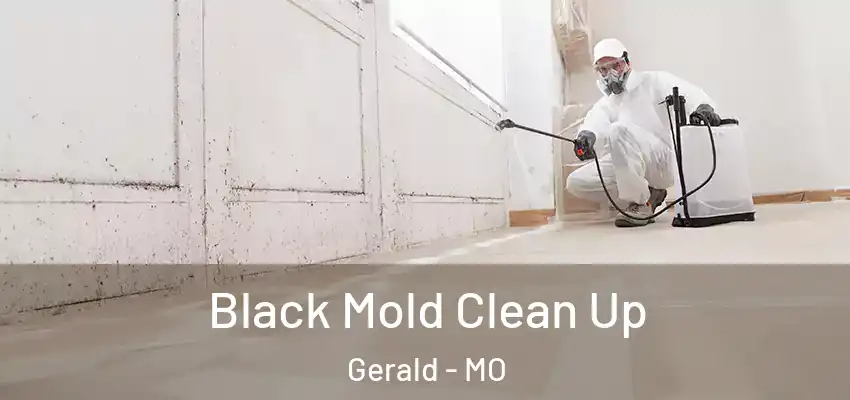 Black Mold Clean Up Gerald - MO