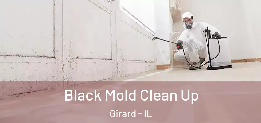  Black Mold Clean Up Girard - IL