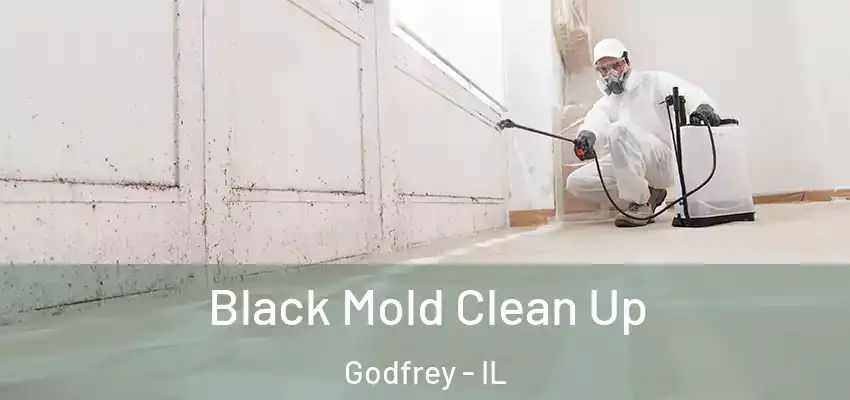  Black Mold Clean Up Godfrey - IL