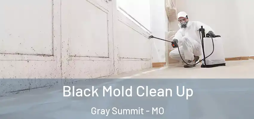 Black Mold Clean Up Gray Summit - MO