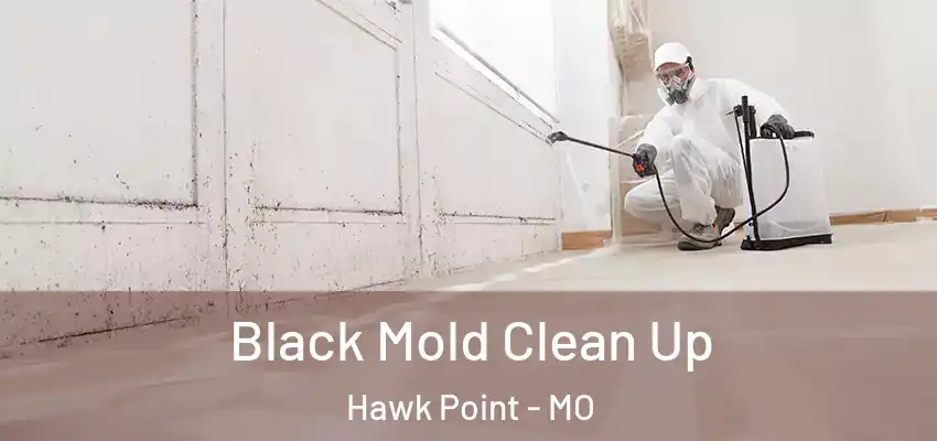 Black Mold Clean Up Hawk Point - MO