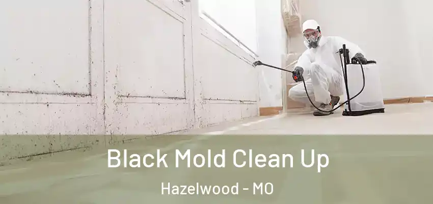  Black Mold Clean Up Hazelwood - MO