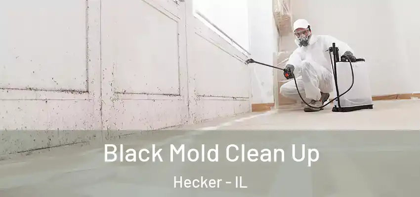  Black Mold Clean Up Hecker - IL