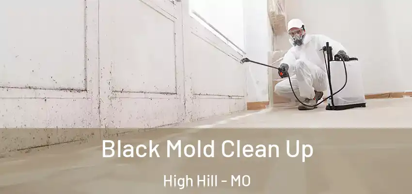  Black Mold Clean Up High Hill - MO
