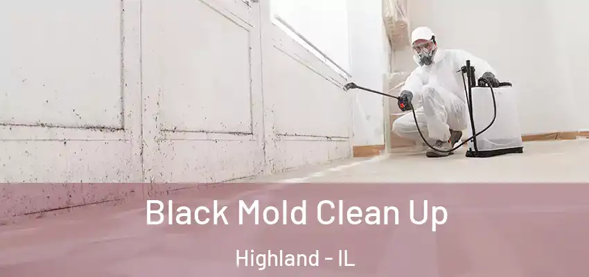  Black Mold Clean Up Highland - IL