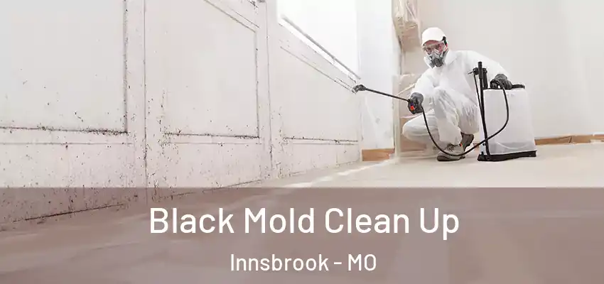  Black Mold Clean Up Innsbrook - MO