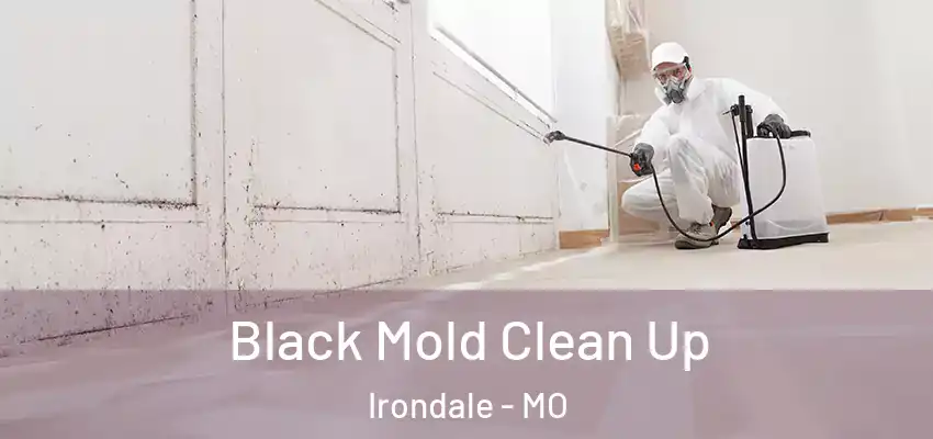  Black Mold Clean Up Irondale - MO