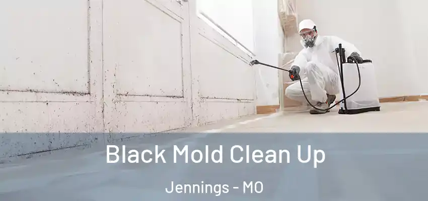  Black Mold Clean Up Jennings - MO