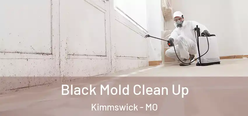 Black Mold Clean Up Kimmswick - MO