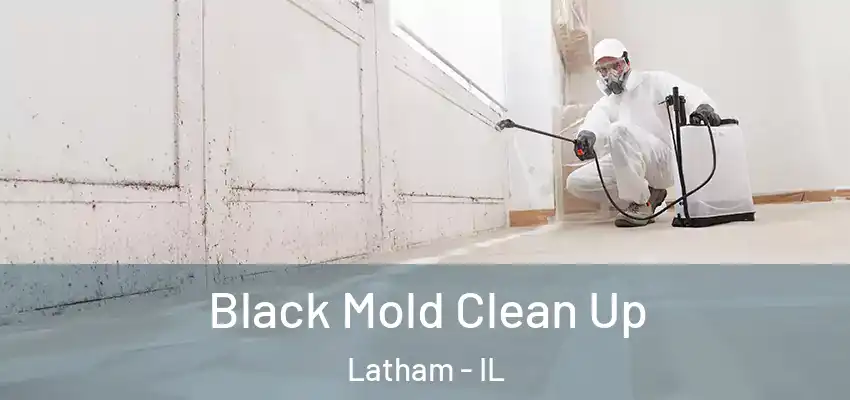  Black Mold Clean Up Latham - IL