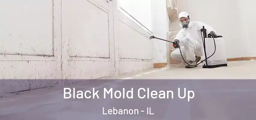  Black Mold Clean Up Lebanon - IL