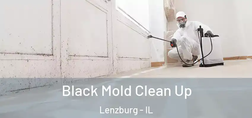  Black Mold Clean Up Lenzburg - IL