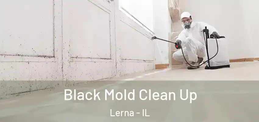 Black Mold Clean Up Lerna - IL