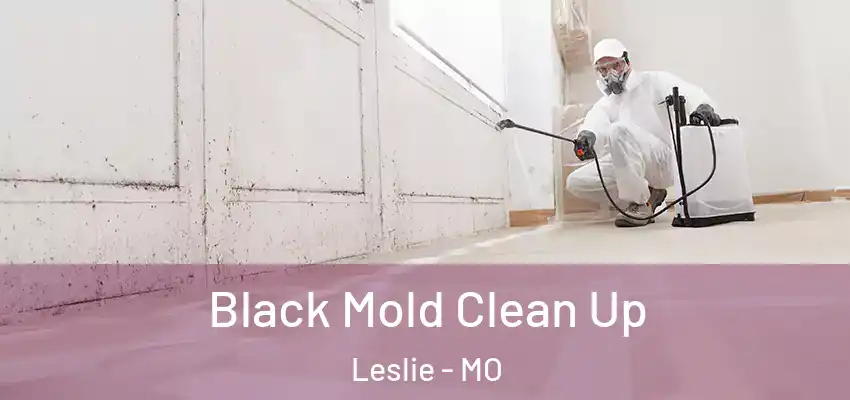 Black Mold Clean Up Leslie - MO