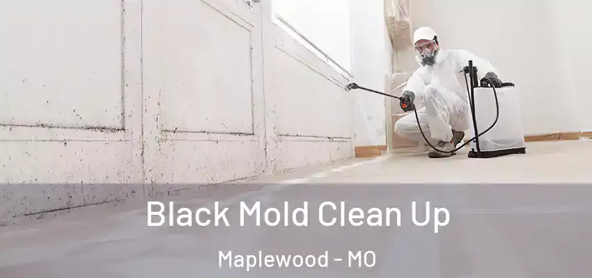  Black Mold Clean Up Maplewood - MO