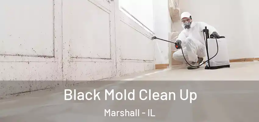  Black Mold Clean Up Marshall - IL