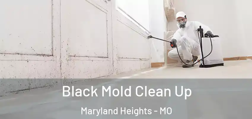 Black Mold Clean Up Maryland Heights - MO