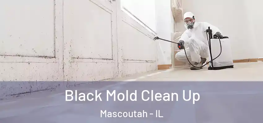  Black Mold Clean Up Mascoutah - IL