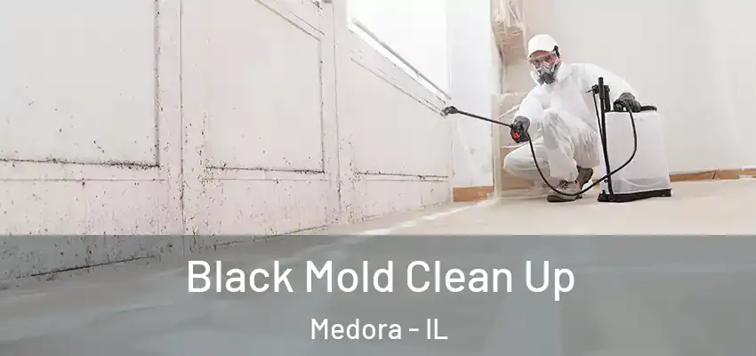  Black Mold Clean Up Medora - IL