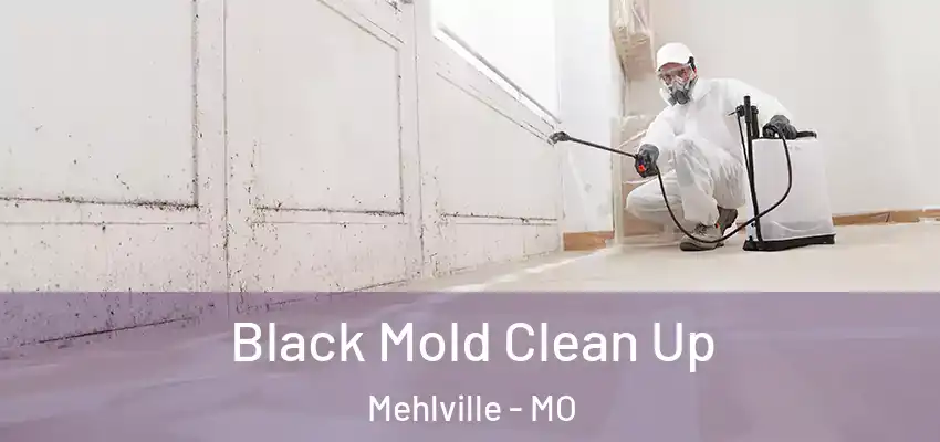  Black Mold Clean Up Mehlville - MO