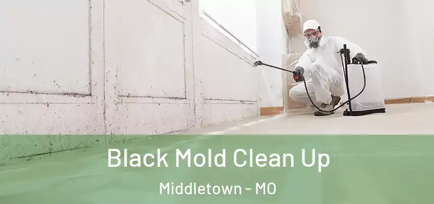  Black Mold Clean Up Middletown - MO