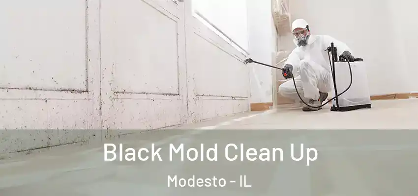  Black Mold Clean Up Modesto - IL