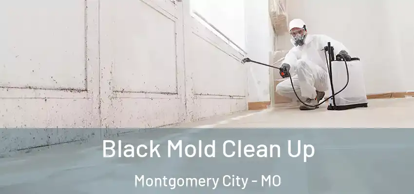  Black Mold Clean Up Montgomery City - MO