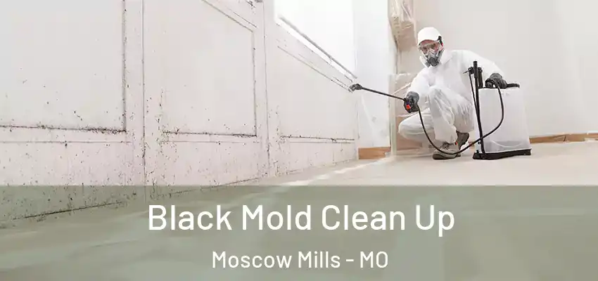  Black Mold Clean Up Moscow Mills - MO