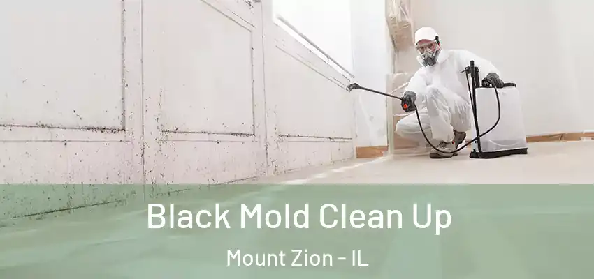  Black Mold Clean Up Mount Zion - IL