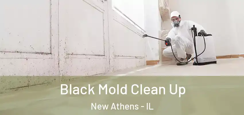  Black Mold Clean Up New Athens - IL