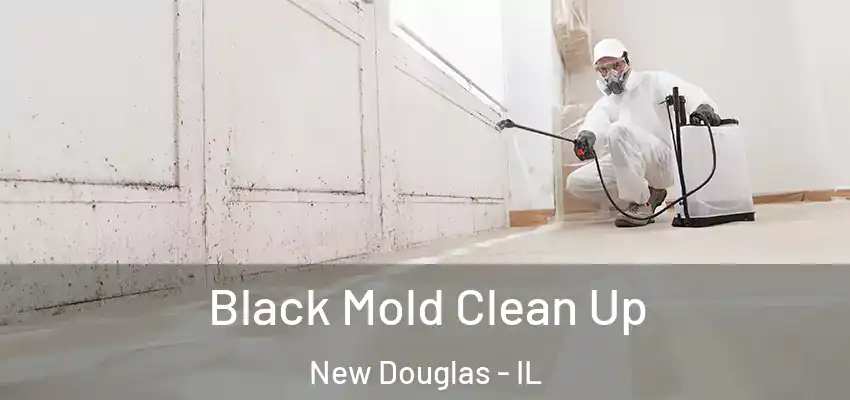  Black Mold Clean Up New Douglas - IL