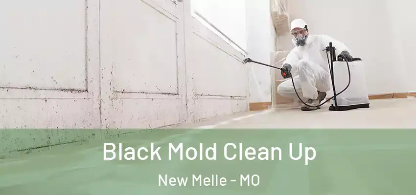  Black Mold Clean Up New Melle - MO