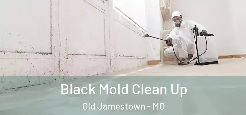  Black Mold Clean Up Old Jamestown - MO