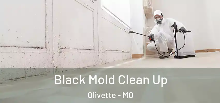  Black Mold Clean Up Olivette - MO